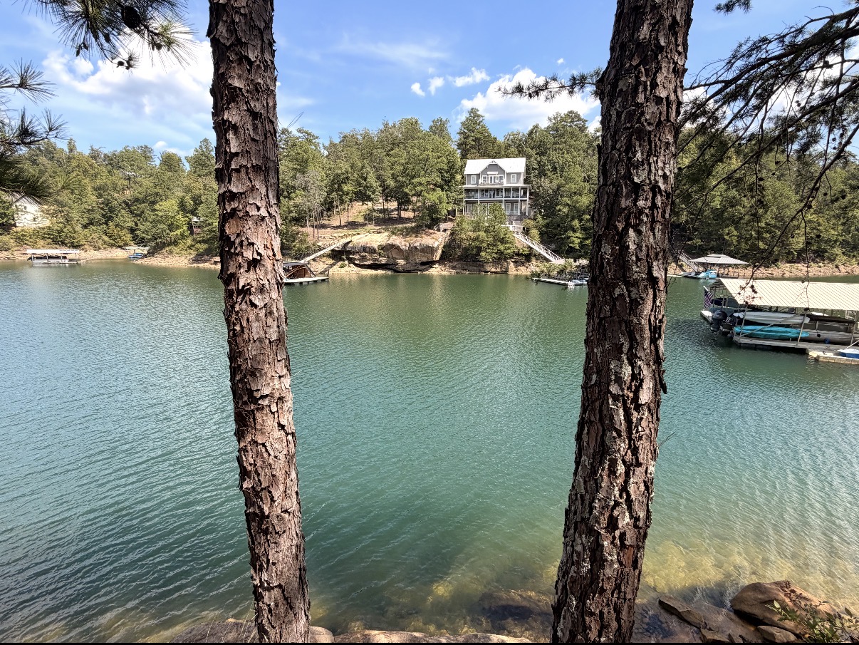 Lake cove framed by tall pine trees