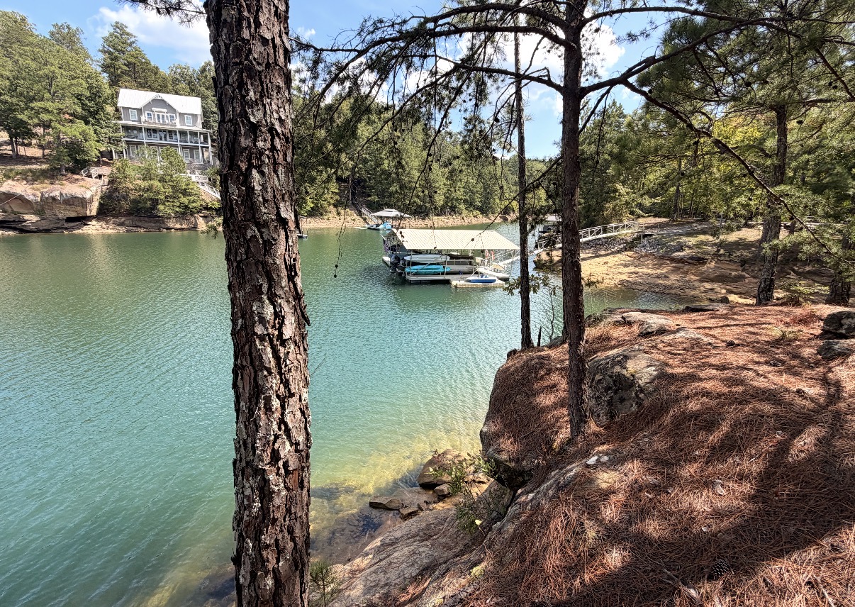 Actual wooded shoreline and dock at Smith Lake